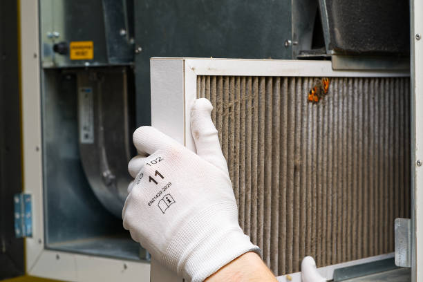 Best Affordable Duct Cleaning Services  in Blackstone, VA